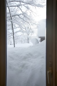 Snow halfway up the kitchen window