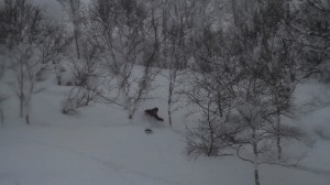 Coach Keith poaching the gap