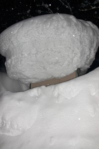 There's a shed under there somewhere